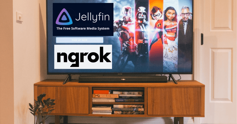 Self-Hosted Streaming with Jellyfin and ngrok – A Personal Weekend Project